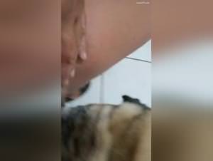 Josy trapped by dog's passion