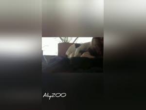 Teen slut dog