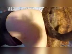 Videos porno zoofilia: Pit Bull fucks hardcore, woman's ass (Pt1)