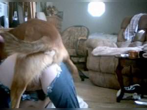 Milly Animal Sex Part 1