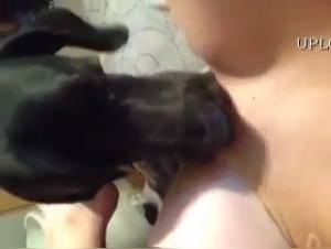 Dog Fucking Hard