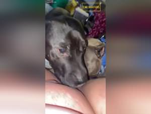 Beastly Duel: Savage Sex & Domination