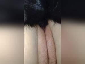 Wild canine debauchery