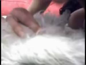 Asian Girl Dog Sex Webcam