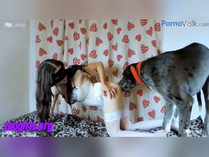 Girl Dog Sex Piercing