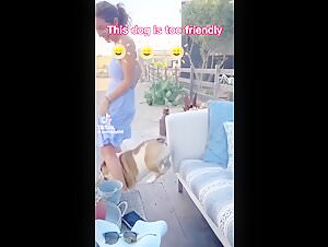 Bestiality Sex Video: Teen female dog and Dog