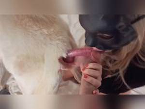 Sex Zoo Taboo - A Wild Seduction