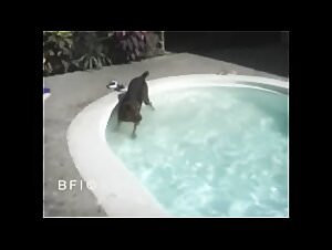 Rare sherada lesbian threesome brazil creampie