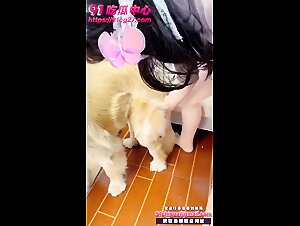 Zoophiles in China: Dog fucking for cash