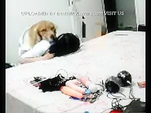 Explicit Bestiality Videos - Forbidden to the Sensitive