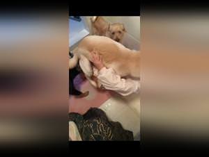 Chinese teens wild dog sex delights