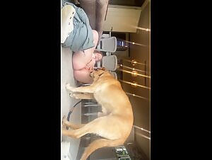 Wet Fantasy Mayo Lickings