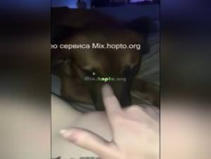 Dog Licking Pussy To Orgasm: Extreme Bestiality