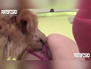 Monica Cool Dog Fucks Summer Heat Part 1