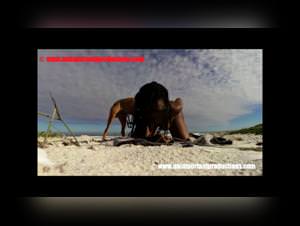 Nikki's Beach K9 Sex: Hardcore Exotic Fun
