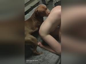 Polish Girl Dog Sex Tryst Part 1