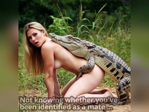 Wild delights: ai infused beastly encounters