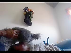 Bestiality: Blowjob and facial cumshot with a dog