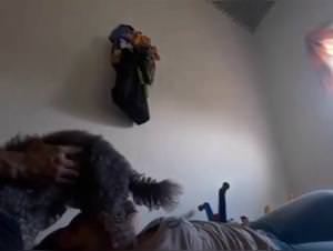 Doggystyle Sex with Bitch - Hardcore XXX