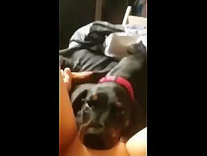 Dog XXX : Extreme Zoo Filia with Dog Sex Porn