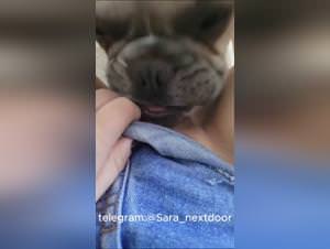 Teen slut gets fucked by dog