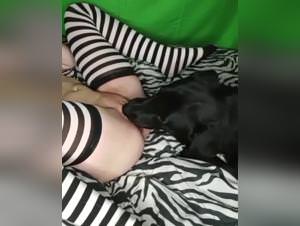 Beastiality amateur: black girl licks dog hardcore