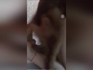 Salope Gets Fucked By Her Dog, Part 1