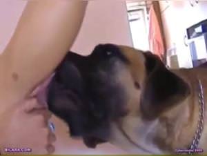 Bilara: Dog Sex with a B**** - Extreme XXX Video