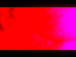 Chubby woman and dog: a beastly video not to be missed