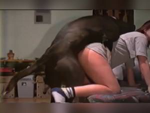 Animal porn extreme, taboo pleasures