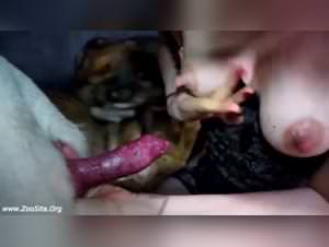 Animal Tube: Dog Sex Orgasm with Hot Girls