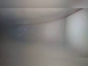 Dog Cumming Fucks Teen OnlyFan Zoo - Zoophilia Taboo Video