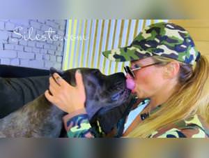 Veronica silesto: extreme animal sex, taboo delights