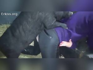 Vietnamese pig fucks mistress hd