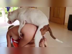 Dog Bang - Bitch Gets Fucked Wildly