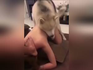 Asian Girl Dog Sex Extreme
