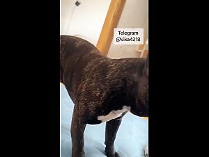 The First Animal Fuck: An Extreme Zoofilia