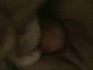 Slut fucks dog, Extreme Open Relationship