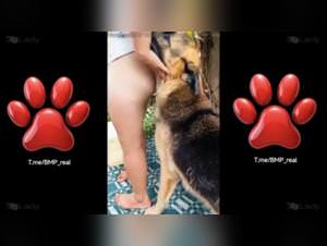 Analina: Dog Sex with Girls - Extreme XXX Videos