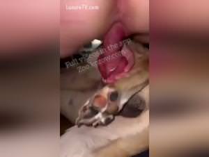 Tattooed rider, beastly sex with dogs raw