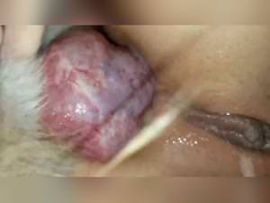 Korean anal dog sex fantasy