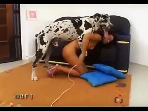 XXX Dog, bestiality meaning and latina sex
