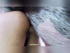 Selena's bestiality: mexzoo fantasies raw