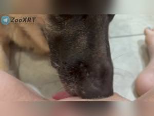 Bitch devoured by her dog's lust