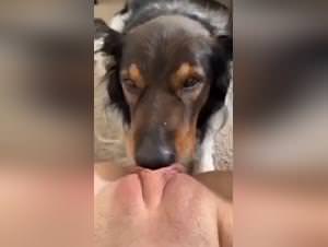 Woman Dog Fucked - Extreme Lickings