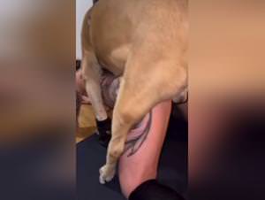 Dog fucks wild woman