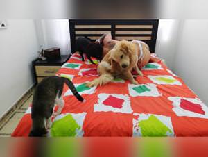 Alissonprod - Milly Dog Fuck Part 2