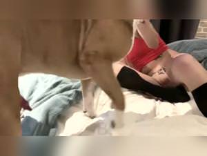 Blonde Sonya Dog Sex