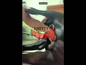 Denise Frazier's Asian Beastiality : Teen fucks dog in a homemade video of a spanish latina sex slave