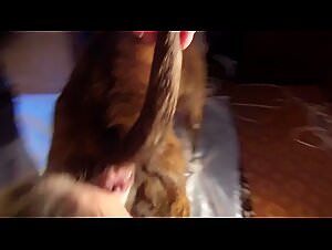 Fucking Your Dog: Love Intoxication